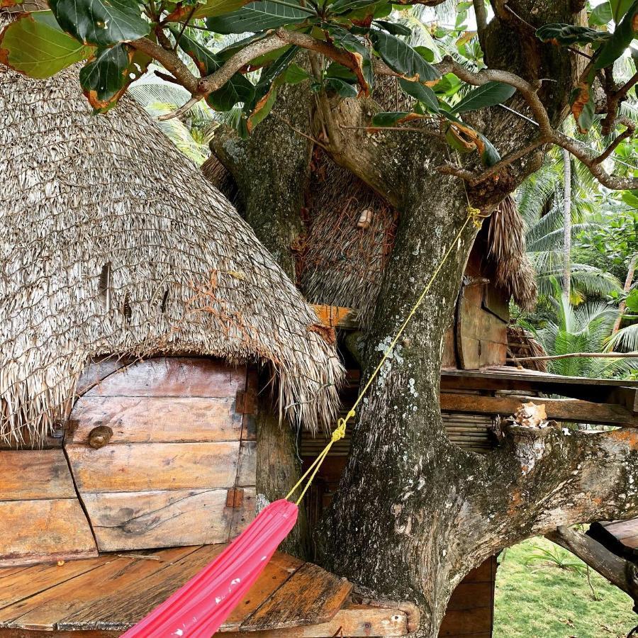 Ensuenos Natural Reserve Little Corn Island Nicaragua מראה חיצוני תמונה